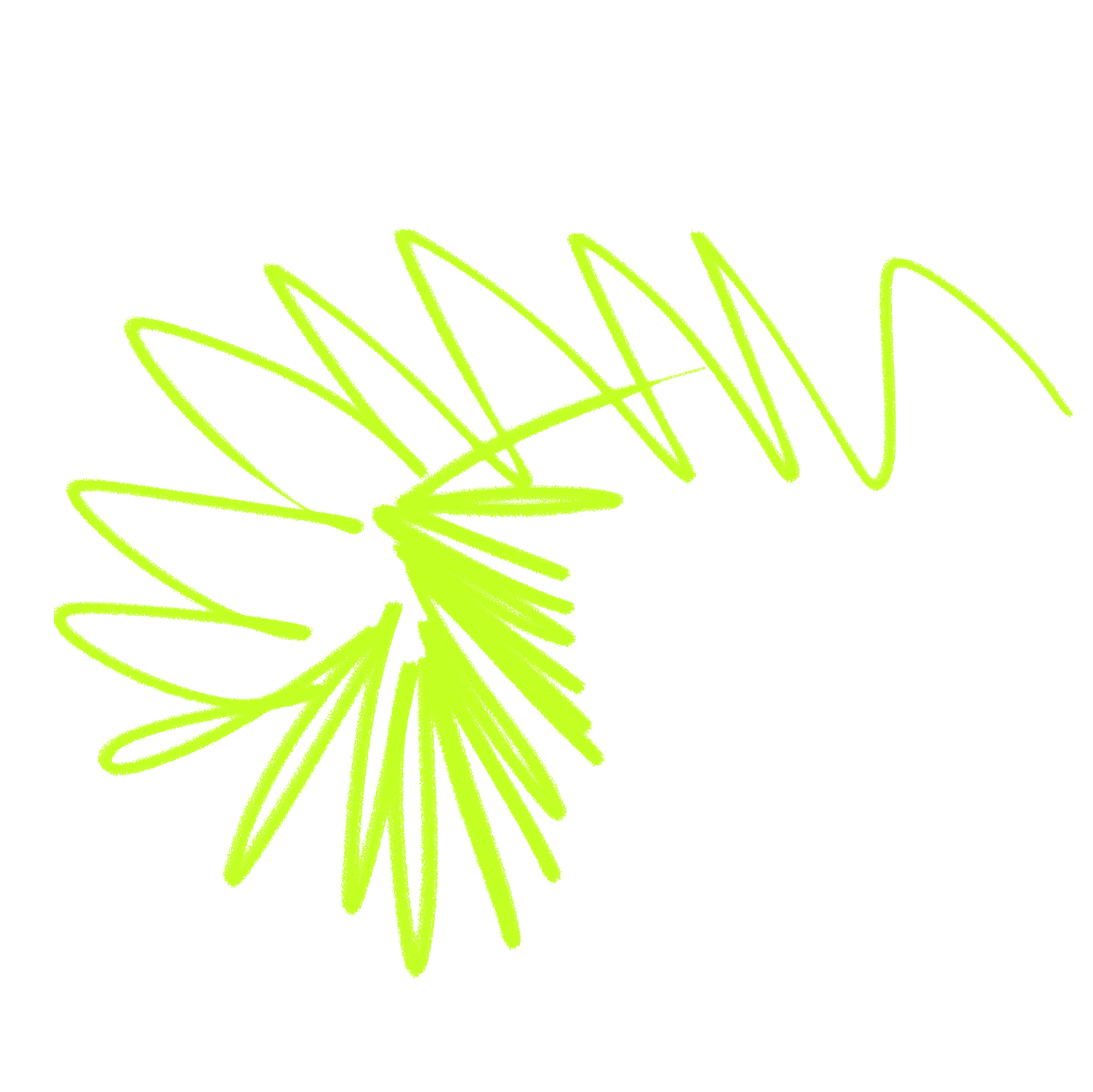 Next Tech Girls Digitas